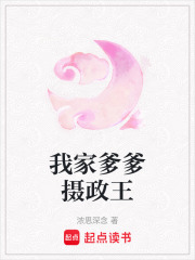 我家爹爹摄政王