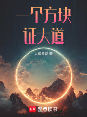 一个方块证大道在线阅读