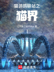 猫鸽鸽驿站之猫界