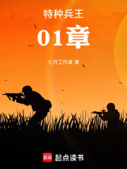 特种兵王