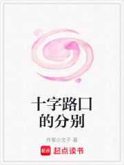 十字路囗的分别在线阅读