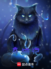 奇猫记
