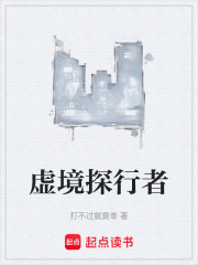 虚境探行者