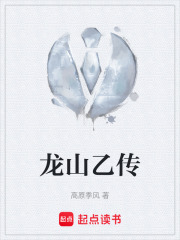 龙山乙传在线阅读