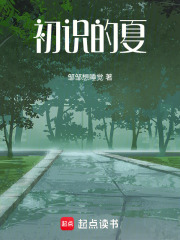 初识的夏在线阅读