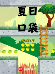 夏日口袋