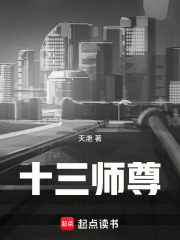 十三师尊之已无敌在线阅读