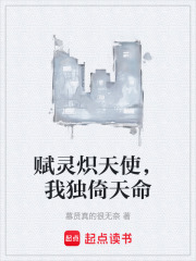 赋灵炽天使，我独倚天命在线阅读