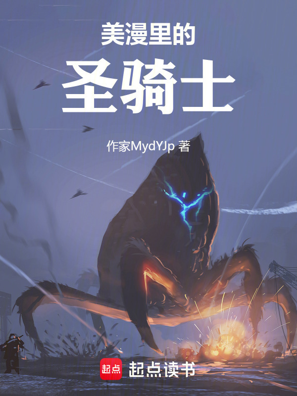 美漫里的圣骑士(菜饼小王)小说在线阅读-首发起点中文网