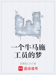 一个牛马施工员的梦在线阅读
