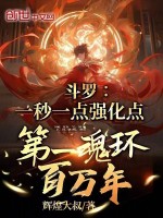 斗罗：一秒一点强化点在线阅读