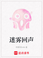 迷雾回声在线阅读