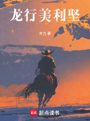 龙行美利坚在线阅读