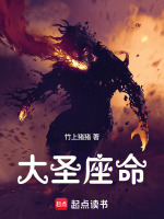 大圣座命封面
