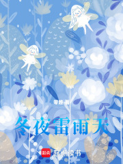 冬夜雷雨天在线阅读