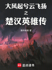 大风起兮云飞扬