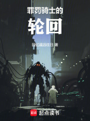罪罚骑士的轮回在线阅读