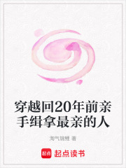 穿越回20年前亲手缉拿最亲的人