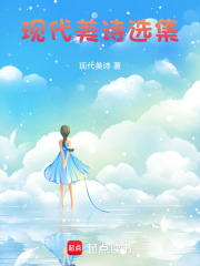 现代美诗选集