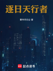 逐日天行者