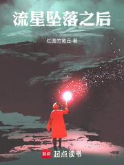 流星坠落之后在线阅读