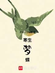 梦蝶庄生