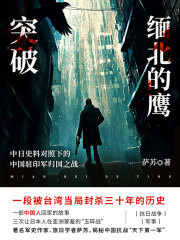 突破缅北的鹰：中日史料对照下的中国驻印军归国之路