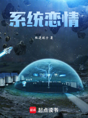 系统恋情