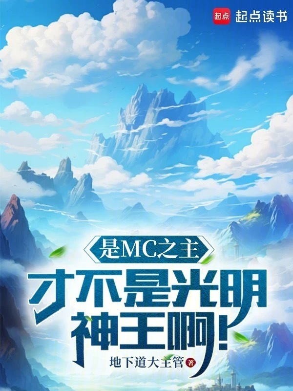 是MC之主，才不是光明神王啊！(地下道大主管)小说在线阅读-首发起点中文网