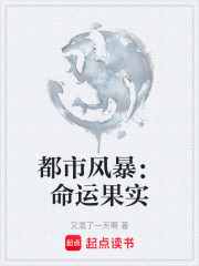 都市风暴：命运果实在线阅读