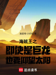 海贼王之即使是巨龙也要仰望太阳在线阅读