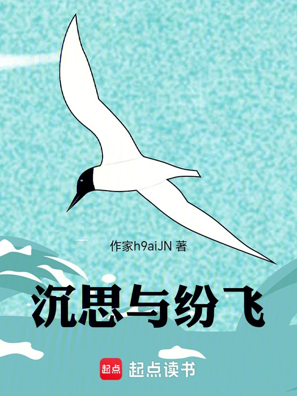 沉思与纷飞