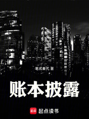 账本披露在线阅读