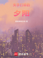 失手打碎的夕阳在线阅读