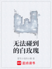 无法碰到的白玫瑰