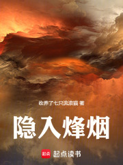 隐入烽烟在线阅读