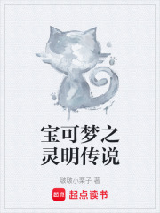 宝可梦之灵明传说