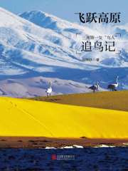 飞跃高原