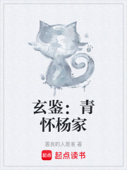 玄鉴：青怀杨家