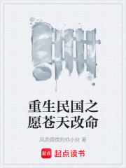 重生民国之