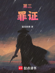 第三罪证在线阅读