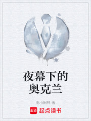 夜幕下的奥克兰在线阅读