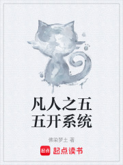 凡人之五五开系统