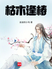 枯木逢春再少年