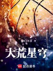 大荒星穹在线阅读