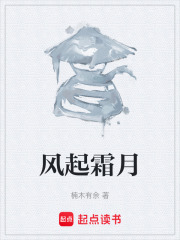 风起霜月在线阅读