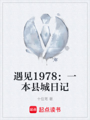 遇见1978：一本县城日记在线阅读
