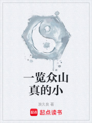 一览众山真的小在线阅读