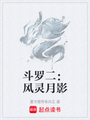 斗罗二：风灵月影在线阅读