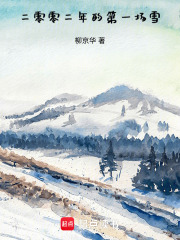 二零零二年的第一场雪在线阅读
